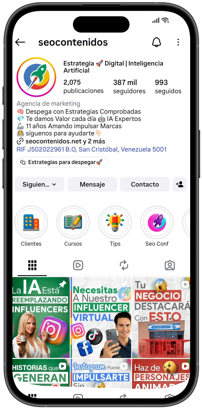 Perfil de Instagram @seocontenidos con 387 mil seguidores
